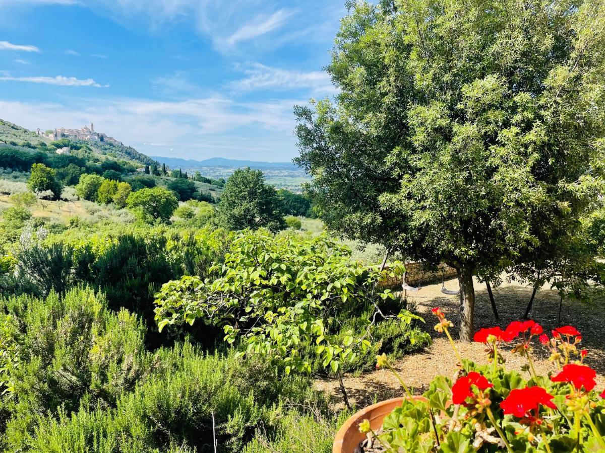 Agriturismo Residenza Paradiso Guest House Trevi Exterior photo